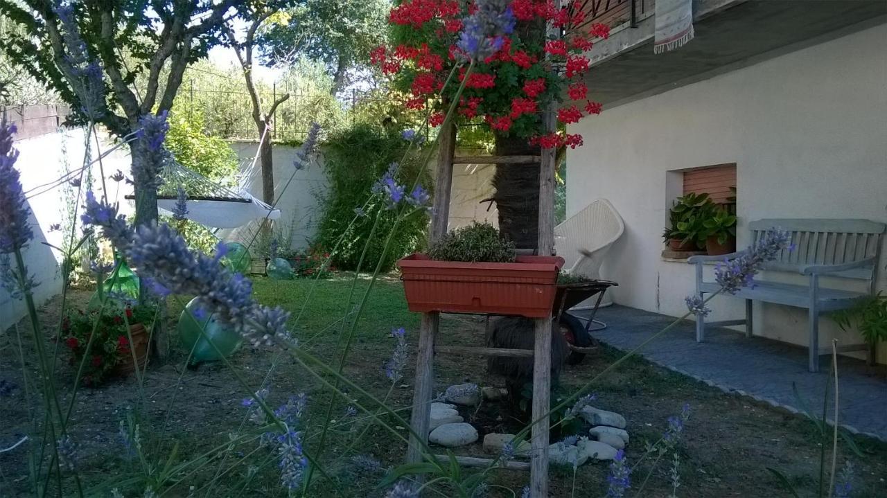 B&B Teranga Montecarotto Extérieur photo