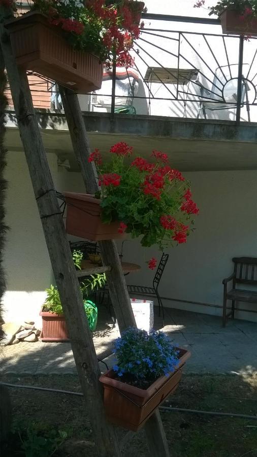 B&B Teranga Montecarotto Extérieur photo