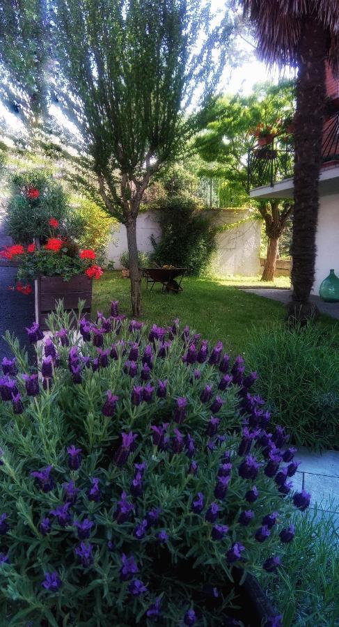 B&B Teranga Montecarotto Extérieur photo
